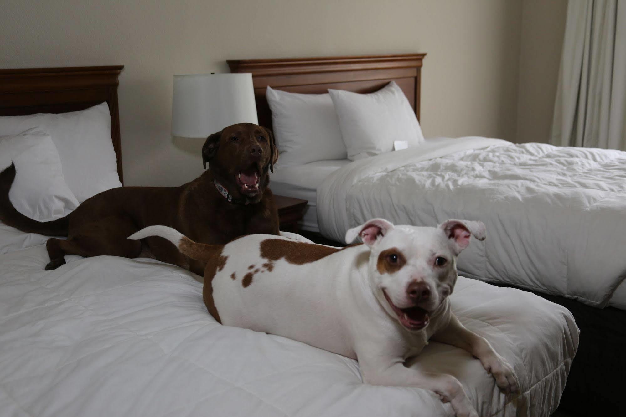 Country Inn & Suites By Radisson, Lehighton-Jim Thorpe, Pa Eksteriør bilde